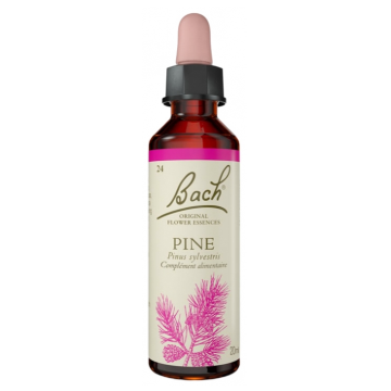 Fleurs de Bach Original Pine 20ml